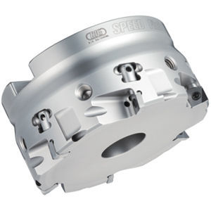 Фрезер два размера - FM series - BIG KAISER Precision Tooling Inc. - с пластинами / для обработки поверхности / для чугуна