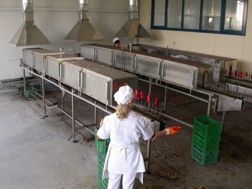 Туннельная печь - Thermohran Engineering JSC - варочная / электрическая / из нержавеющей стали