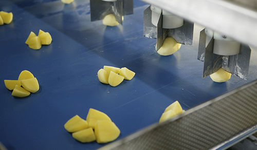 Машина для нарезки овощей для картофеля - Eagles eye - Finis Foodprocessing Equipment B.V.