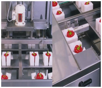 Машина для удаления сердцевины для сладкого перца - Finis Foodprocessing Equipment B.V.