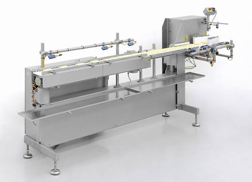 Накопительная конвейерная система - SRF  - LTH Dresden Niederlassung der ALPMA GmbH - для упаковочной машины