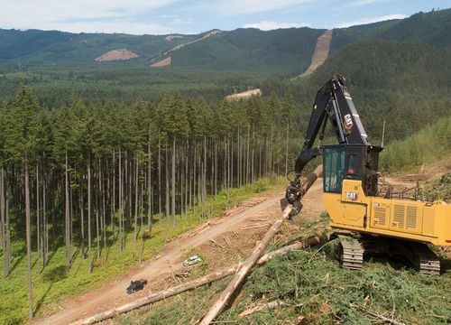 Промежуточный экскаватор - FM548  - Caterpillar Equipment - гусеничный / дизельный / для лесохозяйственных работ