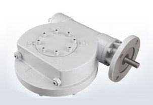 Червячный редуктор - XW series - Zhejiang XBURS Measurement & Control Technology Co., Ltd. - с параллельными валами / >10 kNm / ручной