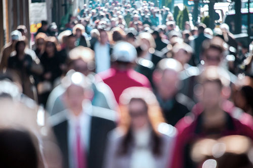 Программное обеспечение для управления - DERMALOG Identification Systems GmbH - для управления / состава / автоматизированное