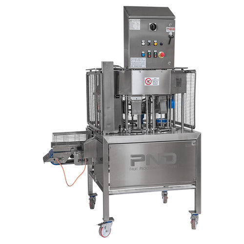 Машина для нарезки фруктов для ананасов - SS8P - PND Fruit Processing Machinery