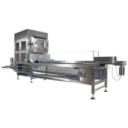 Машина для нарезки для фруктов - DF12 - DF24 - PND Fruit Processing Machinery - автоматическая / с ножами / горизонтальная