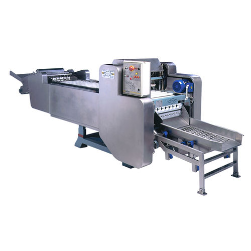 Машина для удаления косточек для фруктов - K7-2000 - O.M.I.P.  Food Processing Machinery