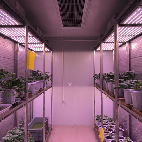 Испытательная камера для измерения температуры - WIPGC-01 - Fujian Jiupo Biotechnology Co., Ltd. - влажности / вертикальная / из нержавеющей стали