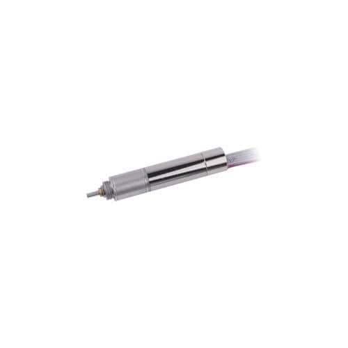 Двигатель DC - 10ZYCC25P-EK256-1 - Jiangsu DINGS' Intelligent Control Technology - щеточный / 12 В / без сердечника