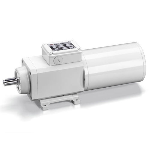 Мотор-редуктор с винтовой зубчатой передачей - PAF - Mini Motor SPA - асинхронный / трехфазовый / коаксиальный