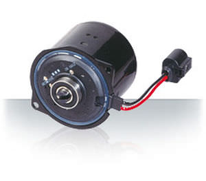 Синхронный двигатель - EVP - NIDEC MOTORS & ACTUATORS - DC / 110V / 4 полюса