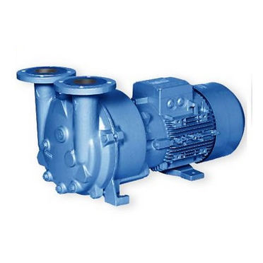 Вакуумный насос переменная производительность - 2BV2  - Shinjo Pump Co., Ltd. - со смазкой / одноуровневый / вода