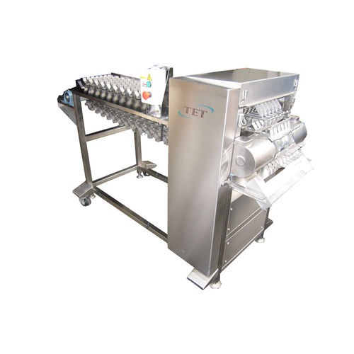 Станок для резки с ножом - C-C100 - TET Co. Ltd - для продуктов питания / для сельского хозяйства и пищевой промышленности / холодным способом