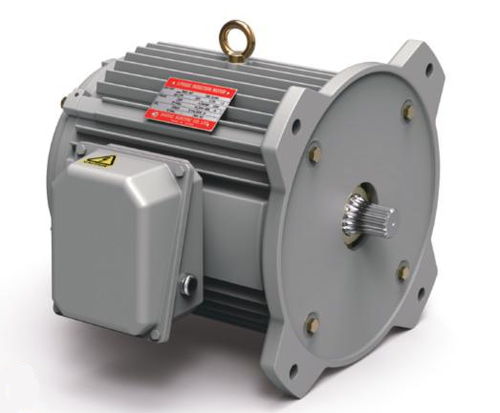 Индукционный двигатель - Shidae Electric Co.,Ltd. - трехфазовый / с катушечным ротором / 4 полюса