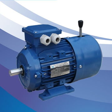Асинхронный двигатель - MSEJ/MSEJA series - FUJIAN YONGDASHENG ELECTRICAL MACHINERY CO., LTD - трехфазовый / 400 В / 380 В