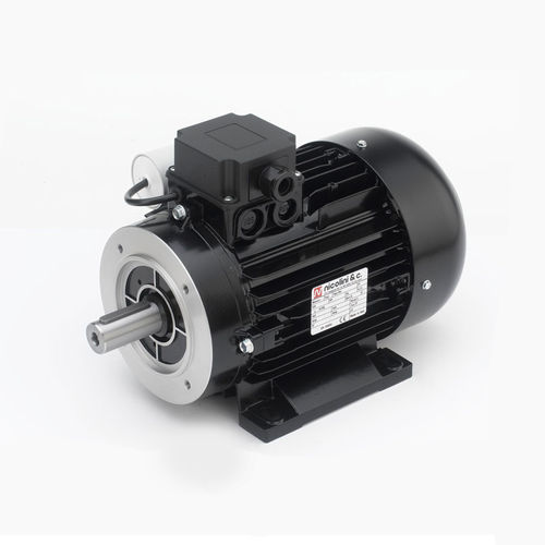 Асинхронный двигатель - RNM series - Nicolini Motori - AC / монофазовый / 220 В