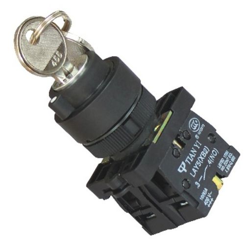 Переключатель с ключом - LAY5 series - Shanghai Tianyi Electric Co., Ltd. - крепление на панели