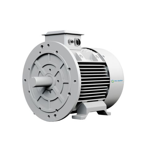 Бесщеточный двигатель - SRPM210L8F22 - MC MOTOR TECHNOLOGY CO., LTD - AC / 400 В / IP55
