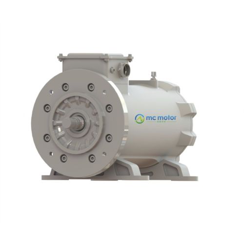 Синхронный двигатель - SRPM165H4XO60 - MC MOTOR TECHNOLOGY CO., LTD - AC / 380 В / IP54