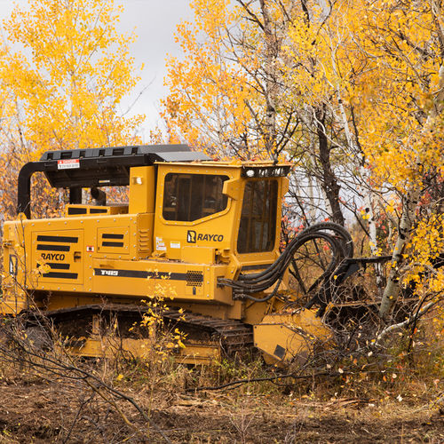 Лесохозяйственная бензокоса - T415 - RAYCO