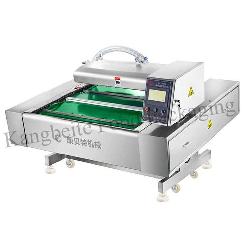 Автоматическая упаковочная машина - DZ1000/1S - Shandong Kangbeite Food Packaging Machinery Co., Ltd. - вакуумная / непрерывного действия / вращающаяся