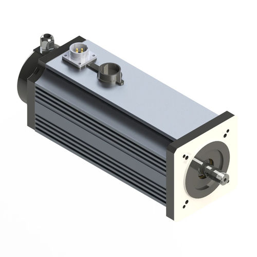 Бесщеточный двигатель - M090-L - Electric Motor Power Pty Ltd - DC / с постоянными магнитами / TENV