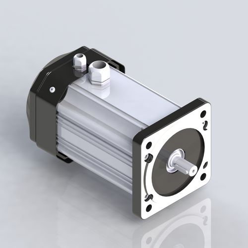 Двигатель BLDC - M099-75 - Electric Motor Power Pty Ltd - DC / 24 В / с постоянными магнитами