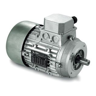 Индукционный двигатель - IN series - Neri Motori - трехфазовый / 400 В / AC 380 В