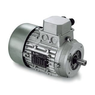 Двухскоростной двигатель - DP series - Neri Motori - индукционный / трехфазовый / 400 В