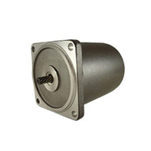 Индукционный двигатель - 80 series - Zhejiang Dongzheng Motor Co., Ltd. - AC / 220 В / 110V
