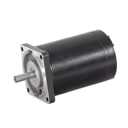 Щеточный двигатель - 60ZY95 - Zhejiang Dongzheng Motor Co., Ltd. - DC / 24 В / 12 В