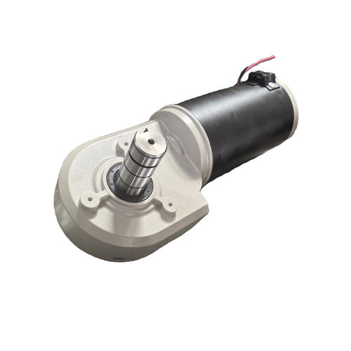 Мотор-редуктор Постоянный ток - Stairlift Motor 001 - Zhejiang Dongzheng Motor Co., Ltd. - червячный / ортогональный / со сплошным валом