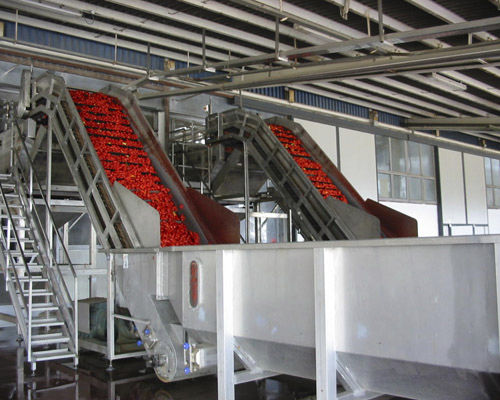 Конвейер с перегородками - Agromeccanica srl - наклонный / подъемный / для фруктов