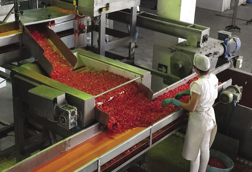 Роликовый конвейер - Agromeccanica srl - для опорожнения / для фруктов / для помидоров