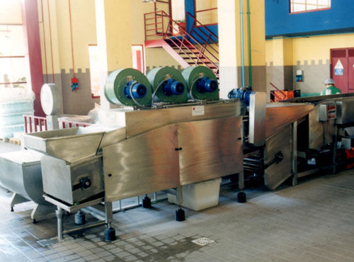 Машина для мойки цитрусовых - Agromeccanica srl