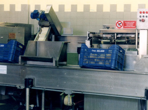 Станок для очистки кожуры цитрусовые - Agromeccanica srl