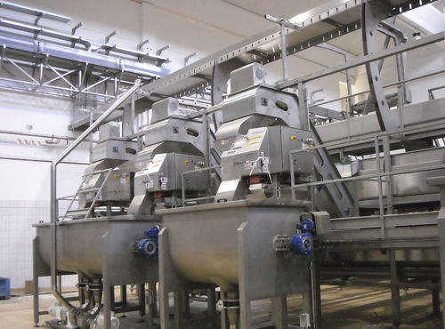 Станок для резки ломтиками и кубиками для фруктов - Agromeccanica srl - для овощей