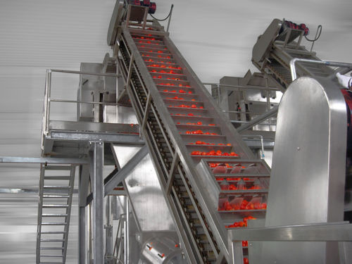 Линия по переработке помидоров - Alimenta Industries S.r.l. - для шлифовки / для сортировки / для мойки