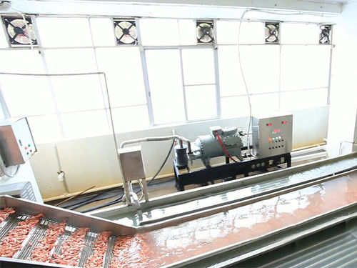 Охладитель для воды - ZD-XL 6000 - Shrimp Machine - для креветок / из нержавеющей стали / с ленточным конвейером
