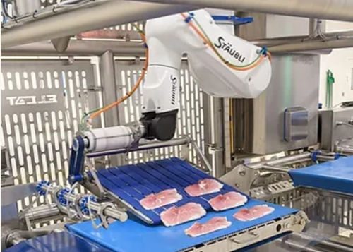 Шарнирный робот - ELCAT FOOD TECHNOLOGY - перегрузочный / для загрузки / для наполнения