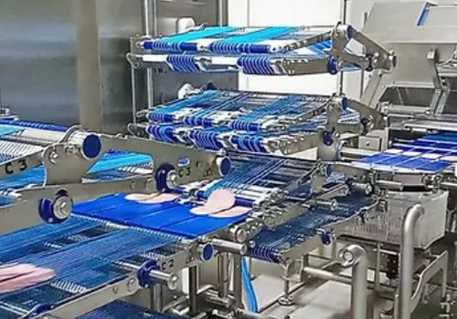 Упаковочная машина внахлестку - ELCAT FOOD TECHNOLOGY - автоматическая / с непрерывным движением / для продуктов питания