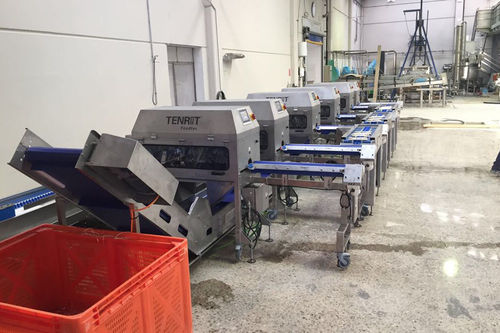 Линия для снятия кожуры для спаржи - TENRIT Foodtec Maschinenbau GmbH