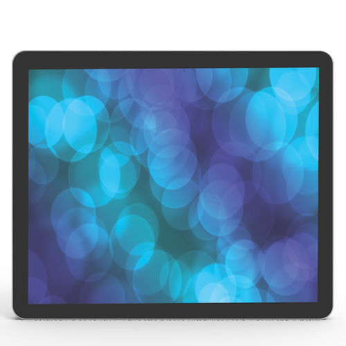 Панельный ПК TFT LCD - DS120E - Shenzhen ZhengYuanTai Technology,Co,.Ltd. - со светодиодной подсветкой / с емкостным сенсорным экраном PCAP / 12,1"