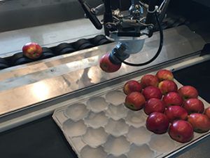 Линия упаковки для нескольких продуктов - Greefa - автоматическая