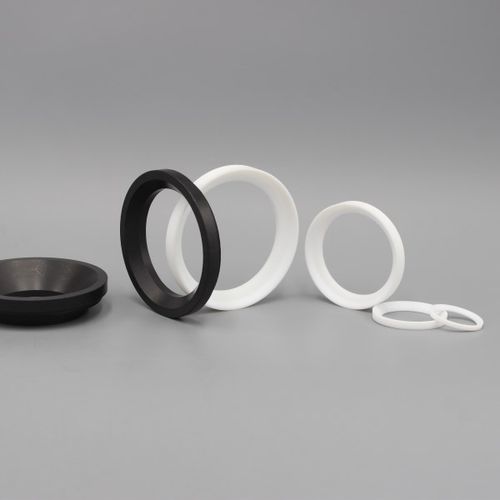 Уплотнитель для клапана со сферическим золотником - Dytron Advanced Materials Co., ltd - из ПТФЭ / для насоса / для использования в области химии