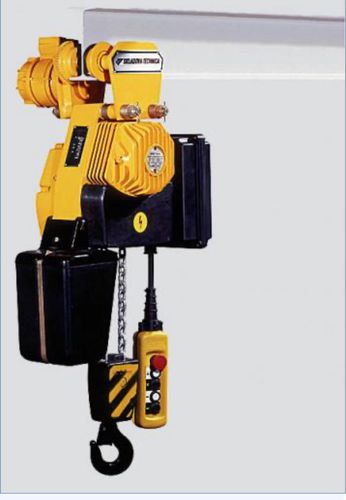 Электрическая цепная таль - T BYC 104M 2 - Alexandria Crane Systems