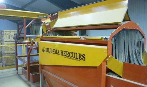 Машина для мойки пищевых продуктов с щеткой - BBM 1710 - Bijlsma Hercules BV - для лука / для картофеля / с ленточным конвейером