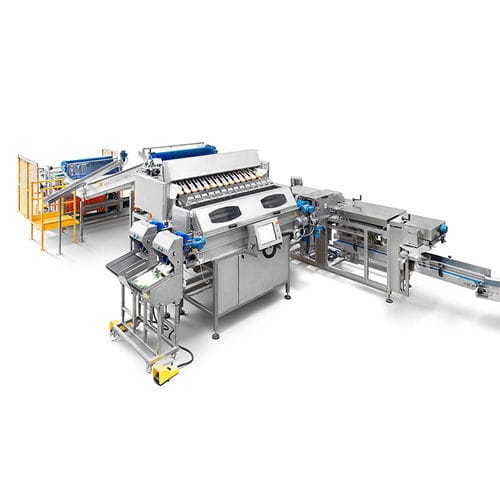 Линейная установка для взвешивания - CALIBRA WEIGHER.F12 - CALIBRAFRUTA LDA - электронная / для пищевой промышленности / из нержавеющей стали