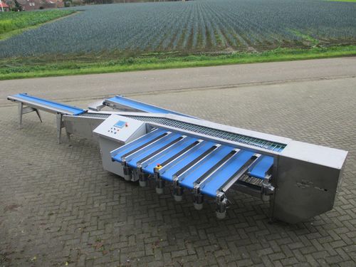Линейная установка для взвешивания - Christiaens Agro Systems B.V - для овощей