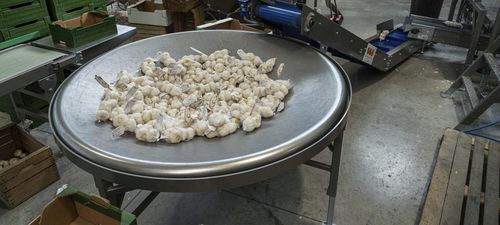 Роторный стол для линии упаковки - Sorma S.p.A. - для пищевой промышленности